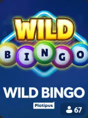 Wild Bingo BC Game Danmørk game cover