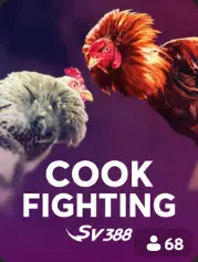 Cock Fighting BC Game Danmørk game cover